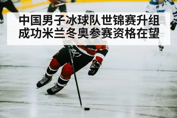ice hockey player skating